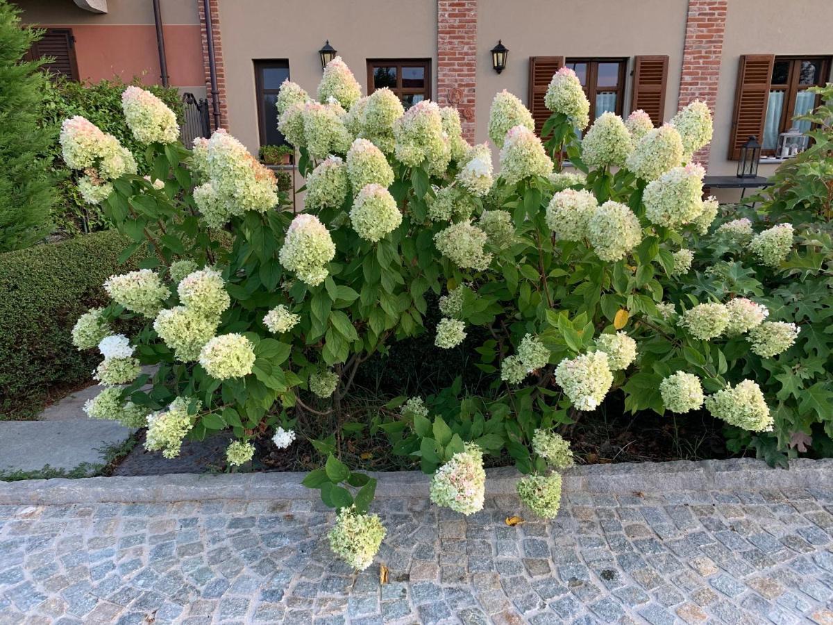 Agriturismo Sarmore Salmore Zewnętrze zdjęcie